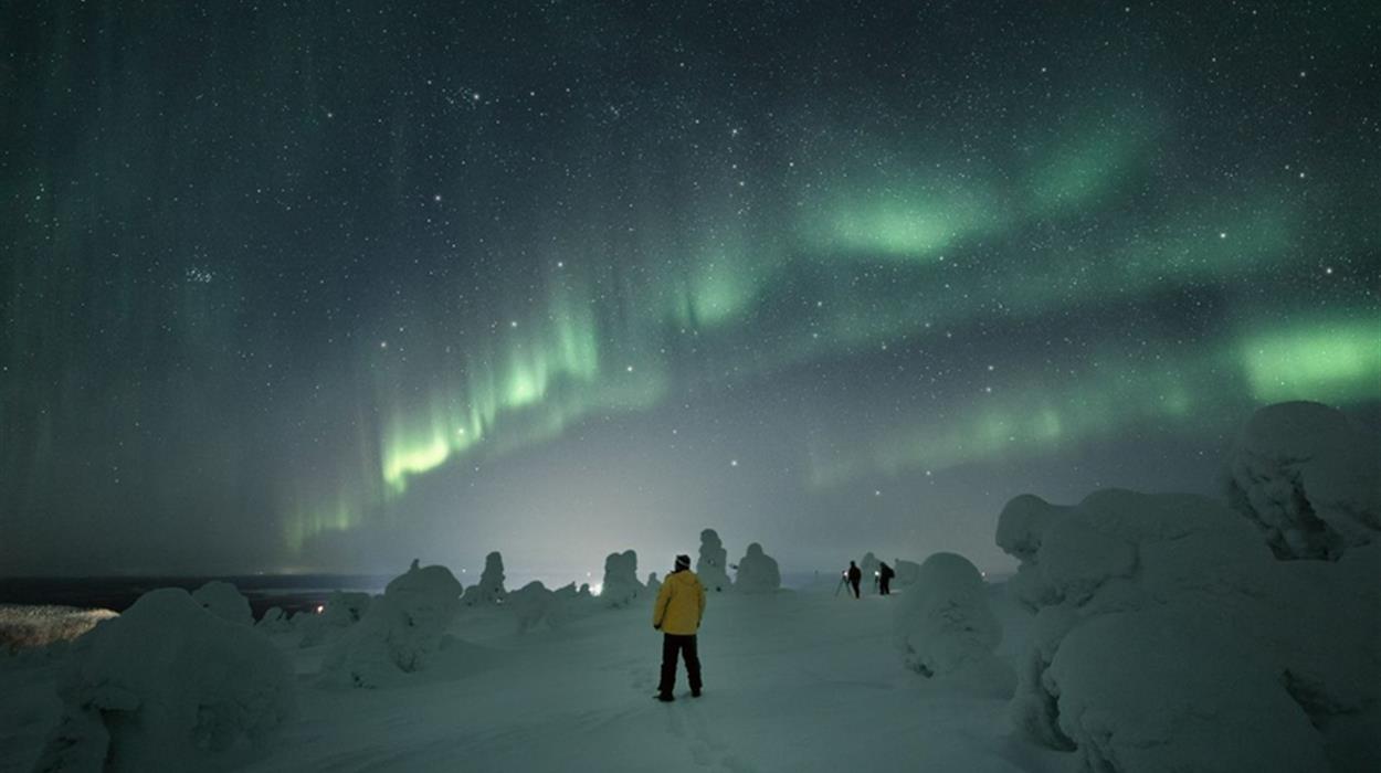 northern lights christmas tours